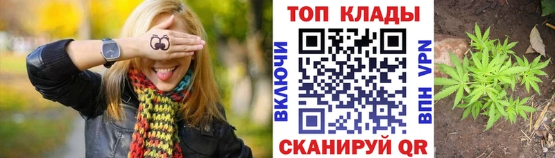 Где купить Ветлуга Бошки Шишки КОКАИН Alpha-PVP Мефедрон
