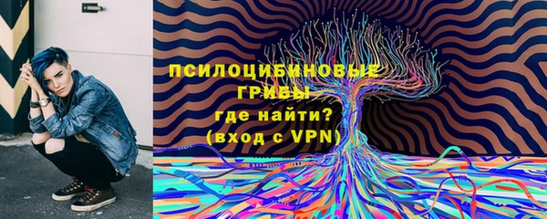 героин Алзамай