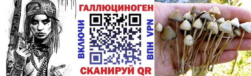 Галлюциногенные грибы мицелий  Ветлуга 